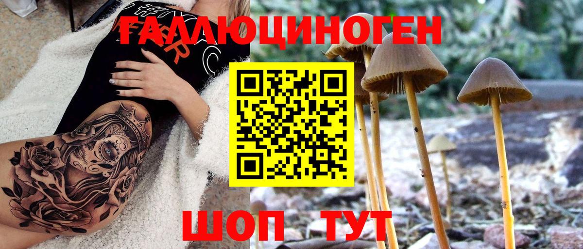 Галлюциногенные грибы мухоморы  Вход с VPN  Галлюциногенные грибы мухоморы  Карталы 